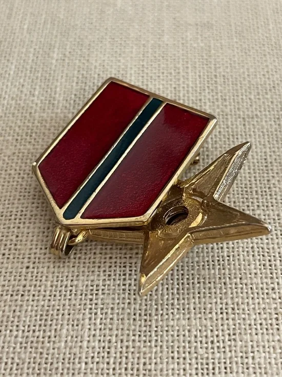 Sparkling Star Charm Pin - Picture 3 of 7